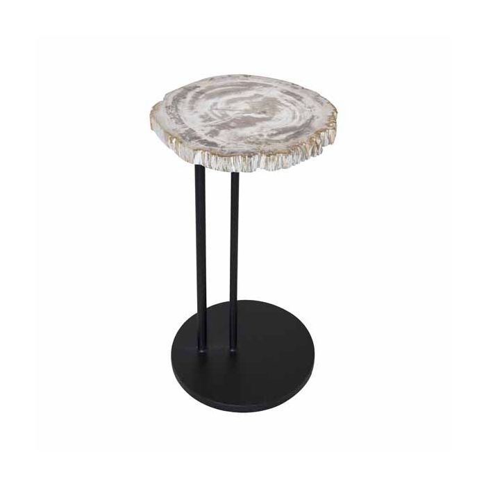 Petrified Wood Staccato Table Light