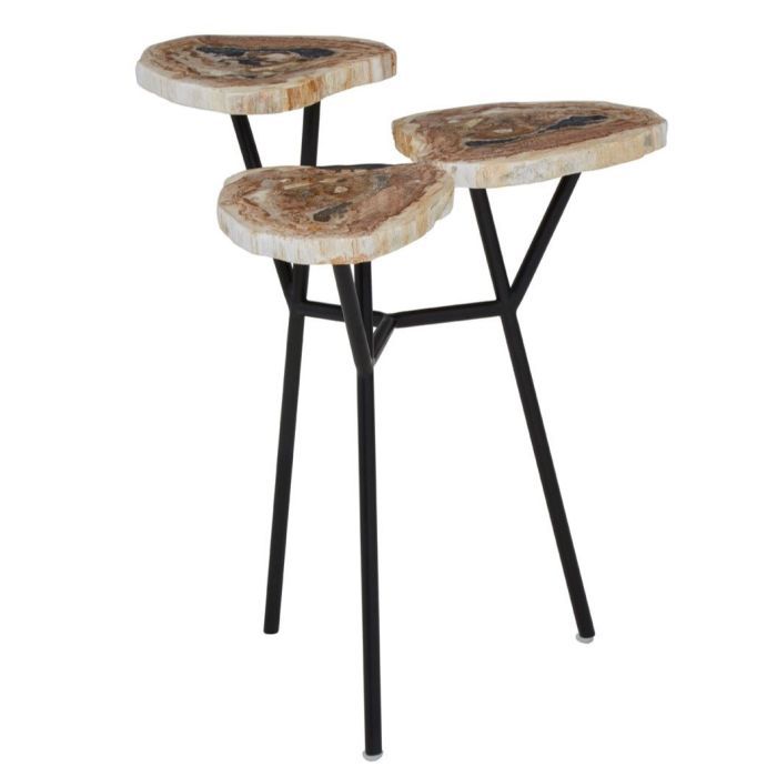 Relic Petrified Wood Side Table