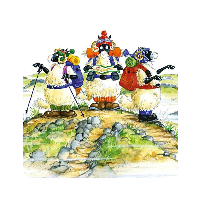 Its That Way Greeting Card