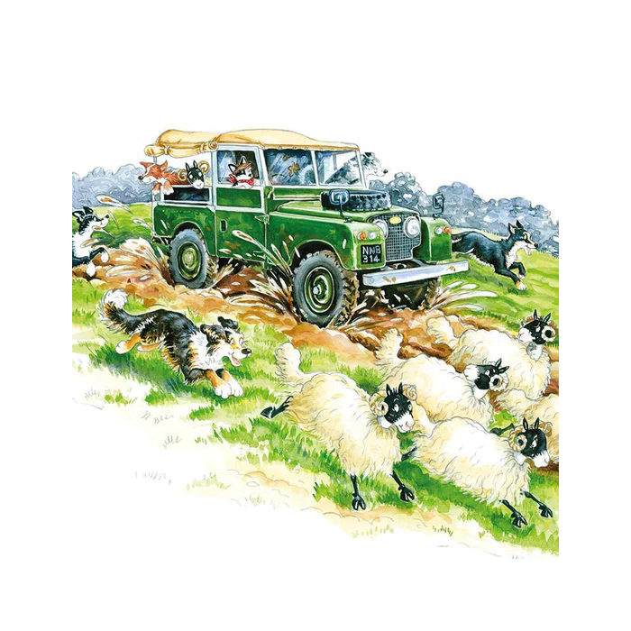 Off Road Antics Greeting Card