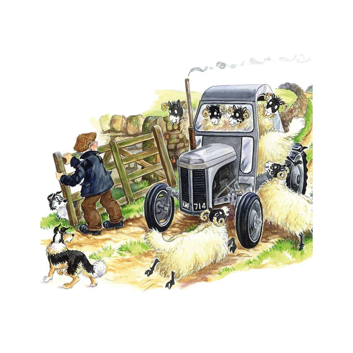 Sheep Driving Greeting Card