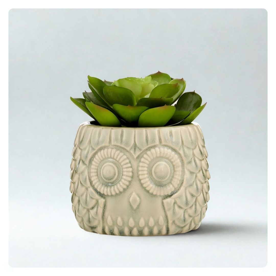 Fiori Succulent in Grey Ceramic Pot Large