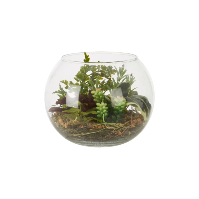 Fiori Mixed Succulent in Glass Pot Large