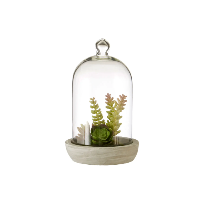 Fiori Succulent Dome with Cement Base Large