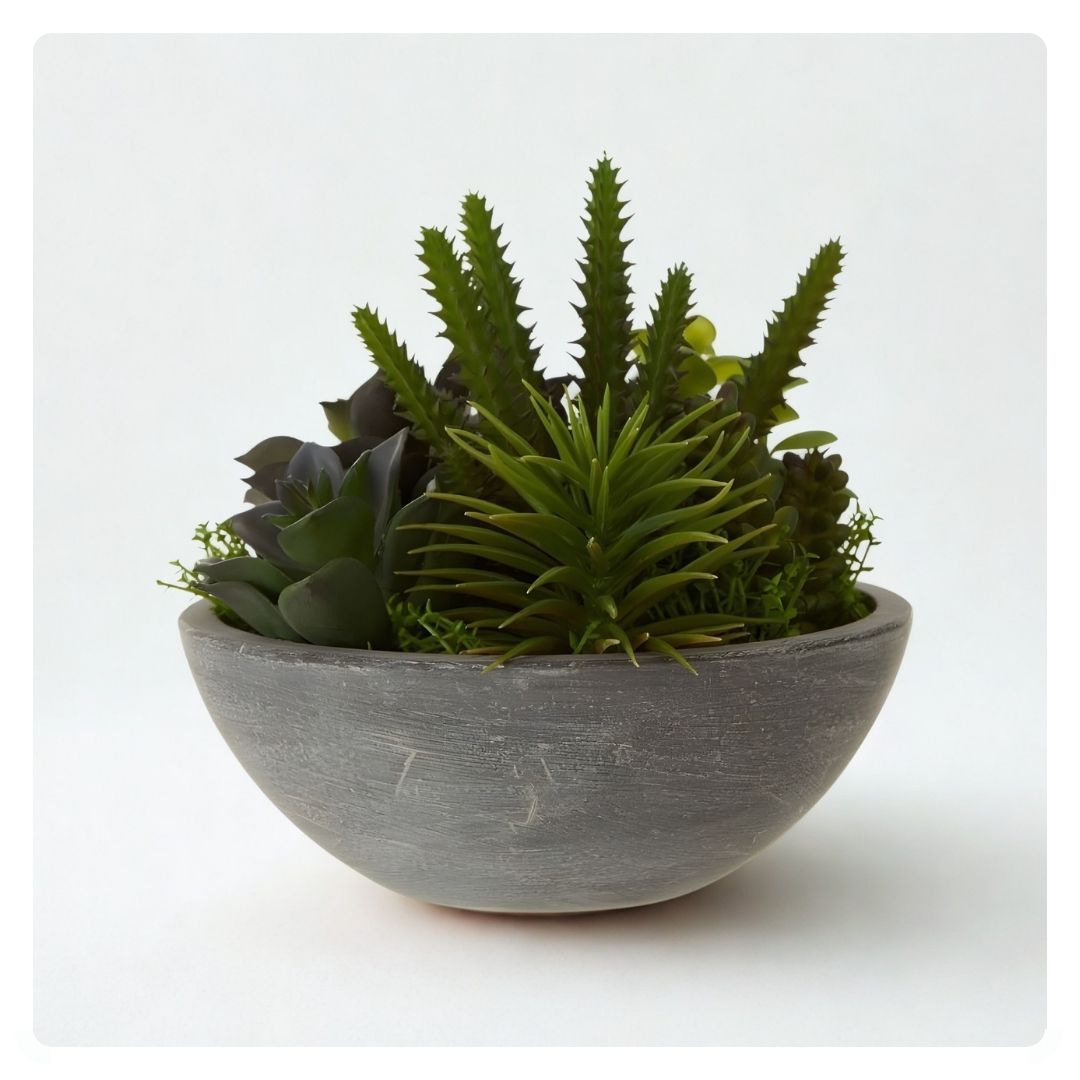 Fiori mixed Succulent in Paper Stone Effect Pot