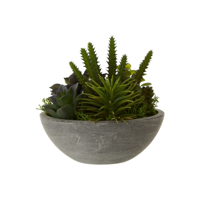 Fiori mixed Succulent in Paper Stone Effect Pot