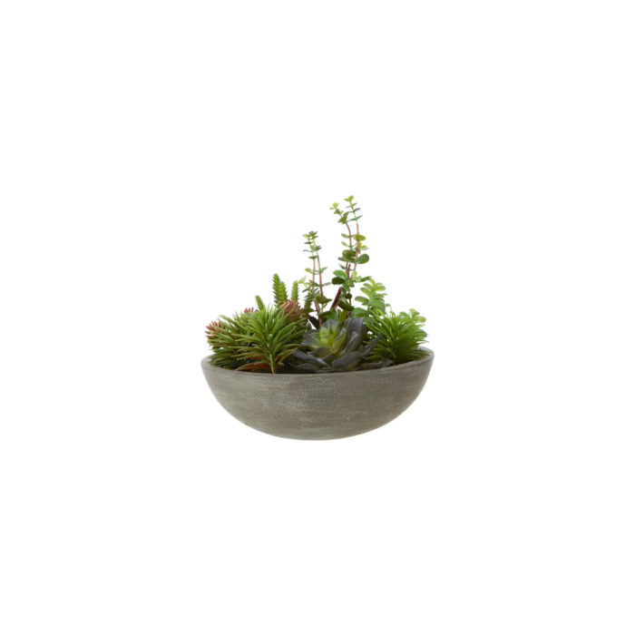 Fiori Mixed Succulent in Stone Effect Pot