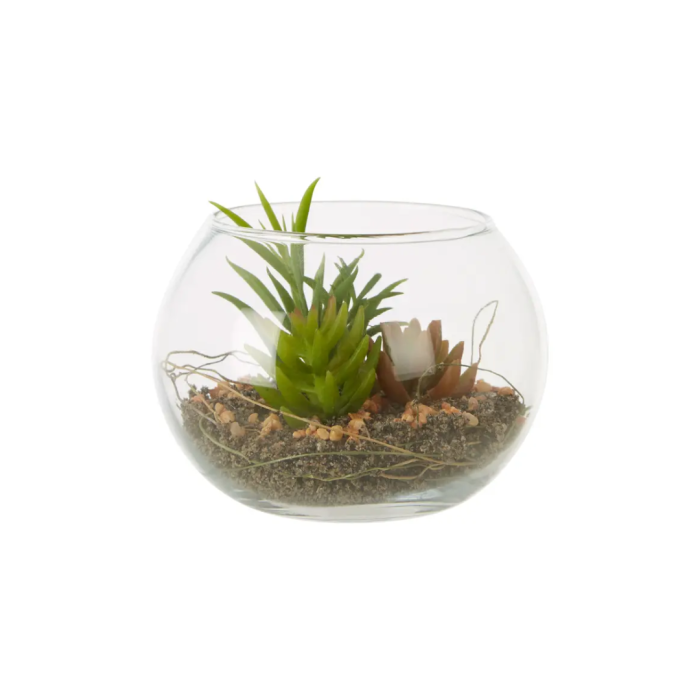 Fiori Mixed Succulent in Glass Pot Small
