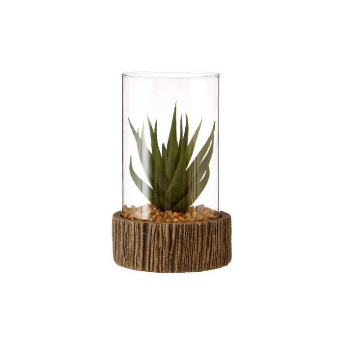 Fiori Succulent with Natural Stone Base Small
