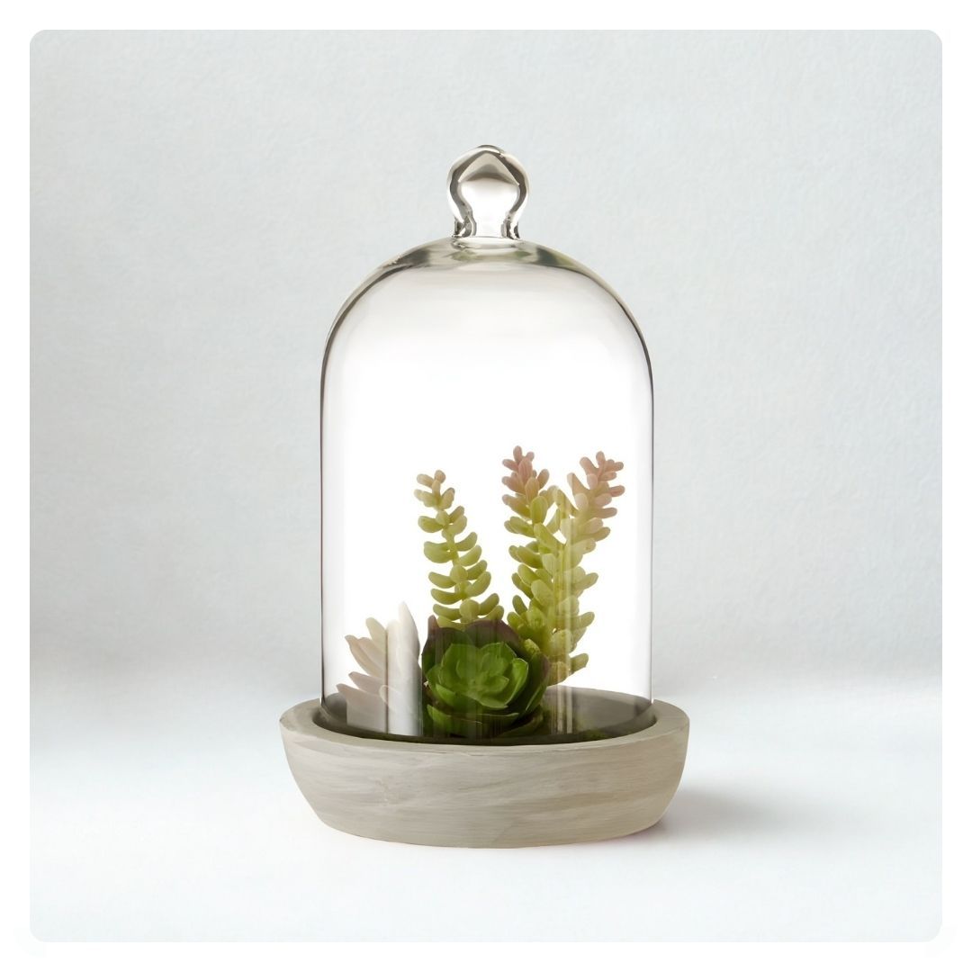 Fiori Succulent Dome with Cement Base Large