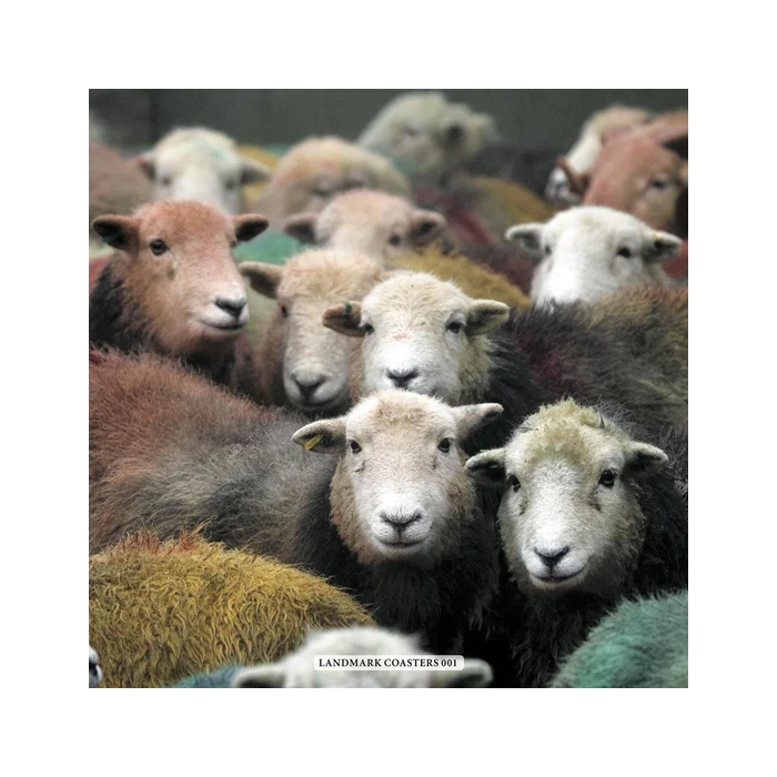 Herdwick Gang Coaster 