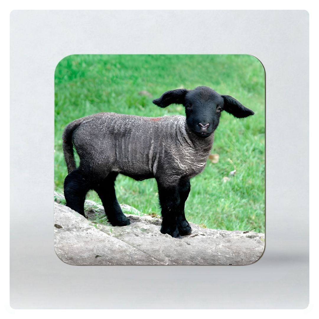 Lugs and Legs Coaster