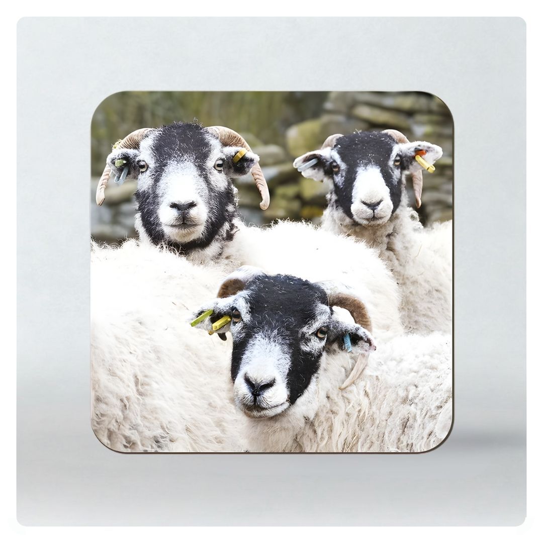 Swaledale Coaster
