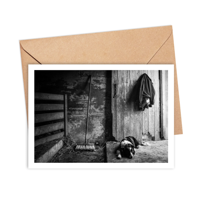 Meg the Sheep Dog Greeting Card