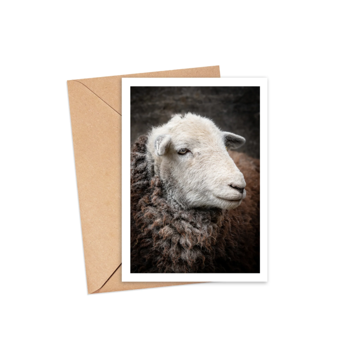 Yan Amy's Favourite Herdwick Greeting Card
